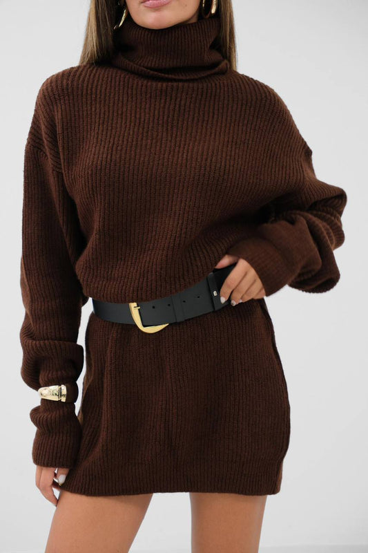 Knit Turtleneck Sweater