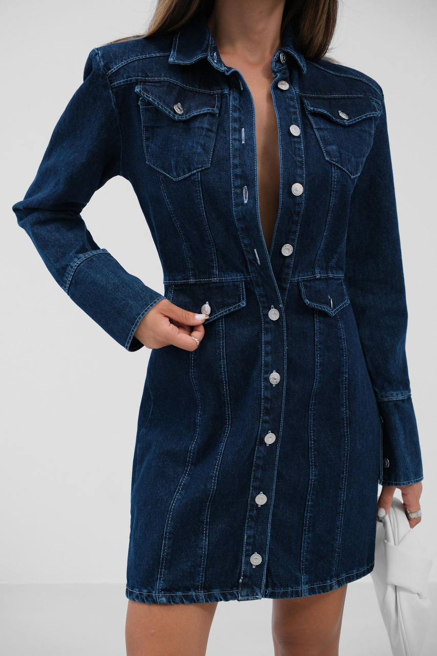 Denim Button-Down Mini Dress