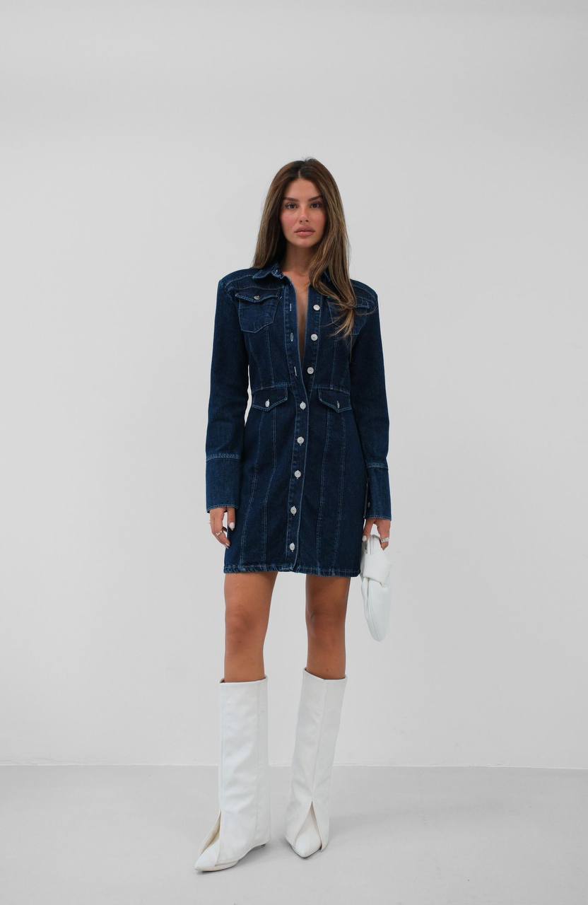 Denim Button-Down Mini Dress